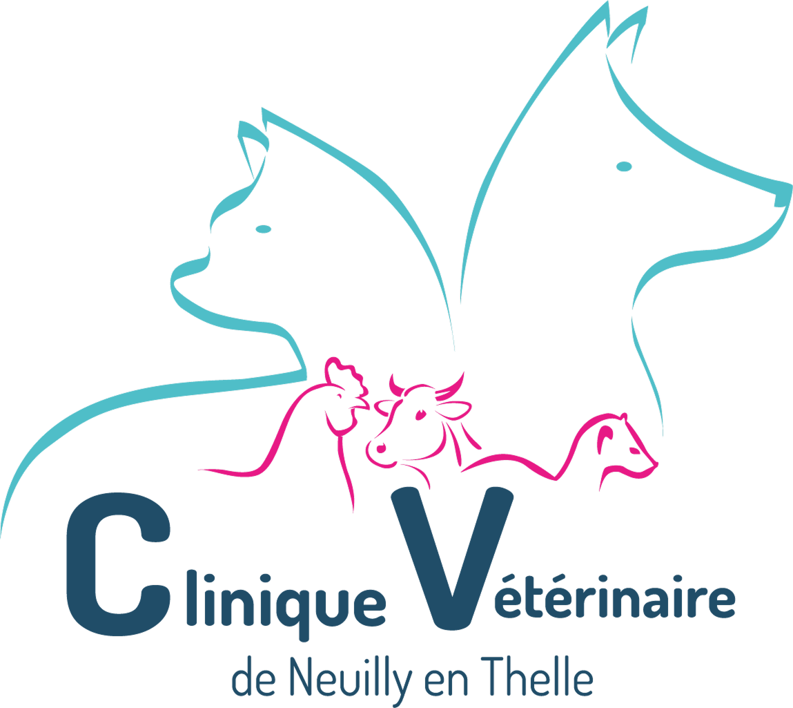 Clinique vétérinaire Vet Thelle à Neuilly-en-Thelle