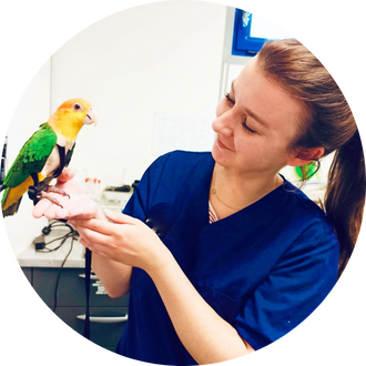 Dr Amélie Quenolle