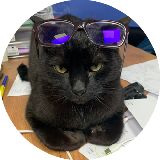 Le chat de la clinique