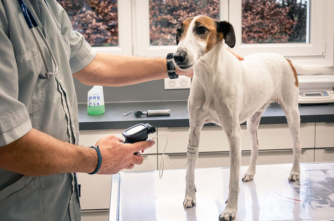 VT-Medecine-interne Médecine interne